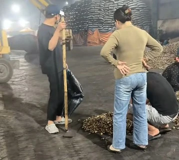 Quá trình sản xuất hạt điều của cặp đôi