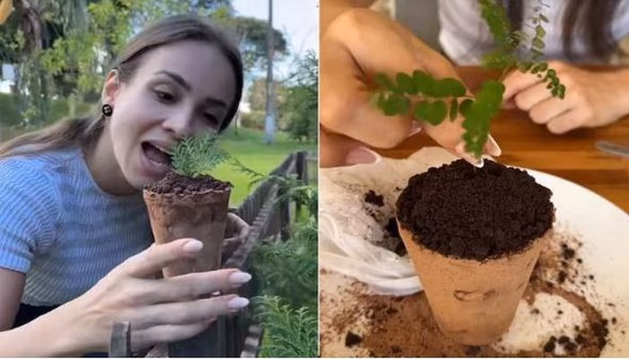 Sự thèm muốn ăn đất sét thường đi kèm với cảm giác lệ thuộc về tâm lý và sinh lý