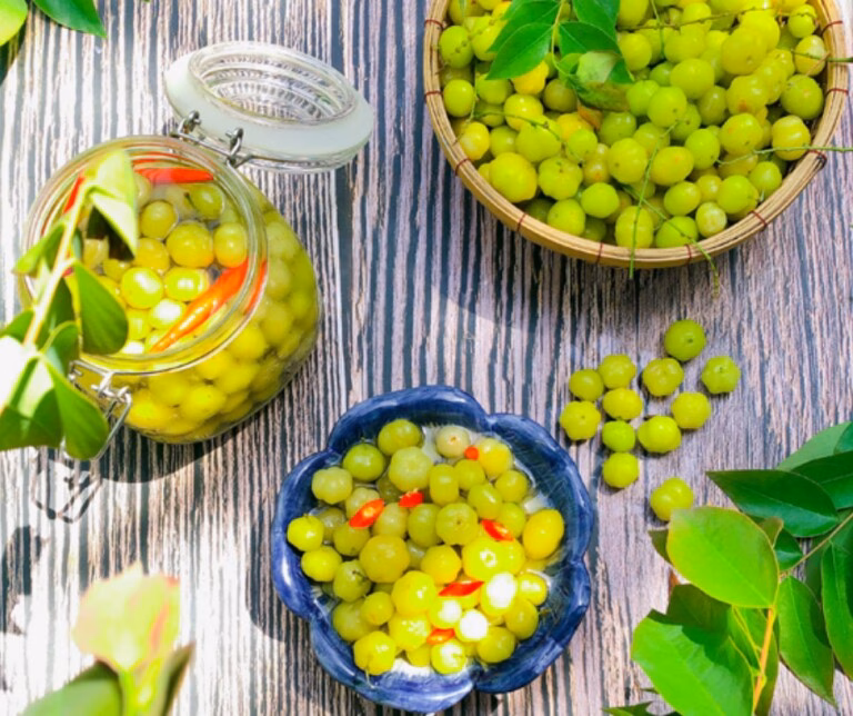 Khi vào mùa, chùm ruột kết trái trĩu nặng, tạo nên khung cảnh vàng rực rỡ.