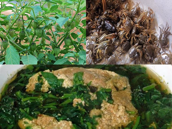 Canh cua tầm bóp là món ăn dân dã nhưng cực kỳ giàu giá trị dinh dưỡng.