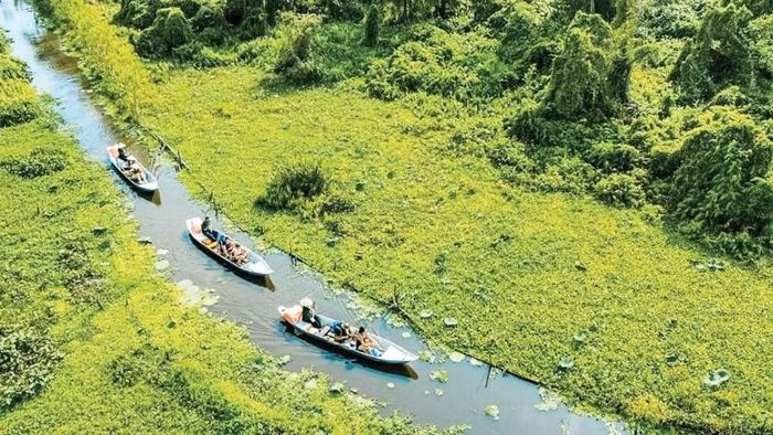 Du khách trải nghiệm không gian yên bình tại Rừng tràm Trà Sư, An Giang. (Ảnh: TRA SU TOURIST AREA)